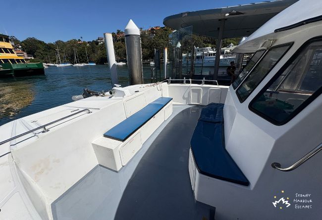 01   Curious George 2026 